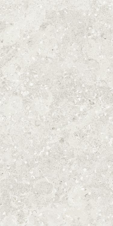 Sea Luster Bianca Matte 24 x 48